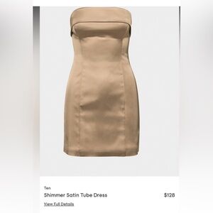 Aritzia Shimmer Mini Tube Dress